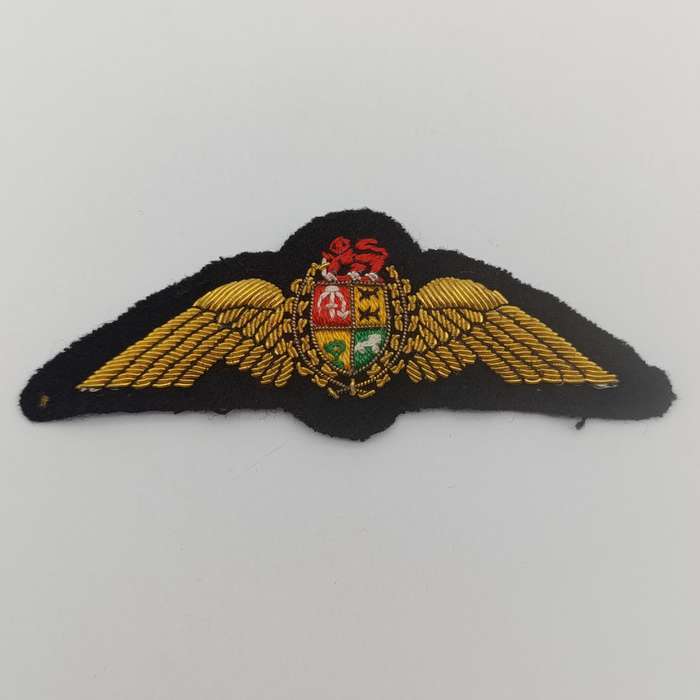 SA Air Force Pilot wing