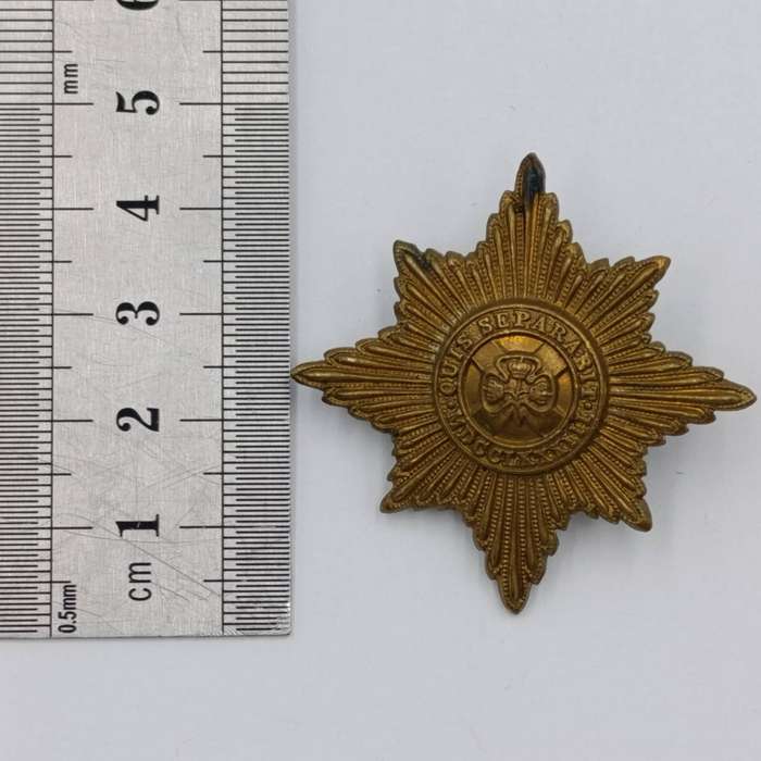 British Irish Guards beret cap badge