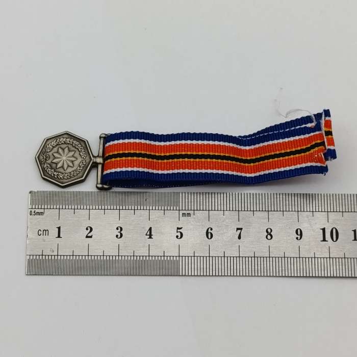 SANDF Tshumelo Ikatelaho medal plus miniature #2245