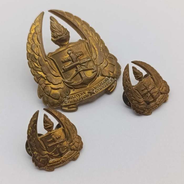Pair of SA Military Gymnasium collar badges and cap badge