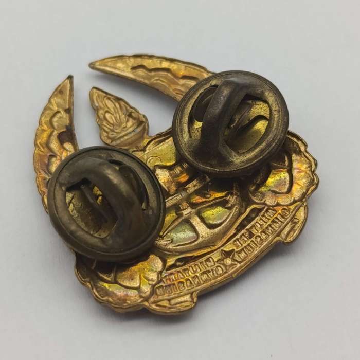 Pair of SA Military Gymnasium collar badges and cap badge