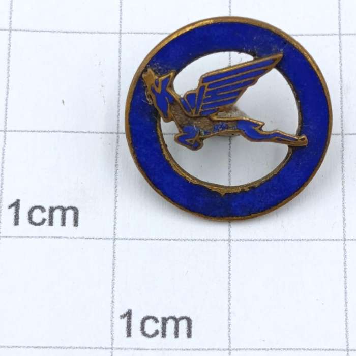Vintage SA Airways Springbok lapel badge