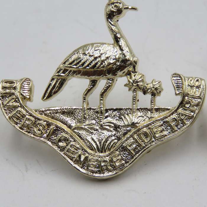 Pair of Northern Rhodesia regiment collar badges