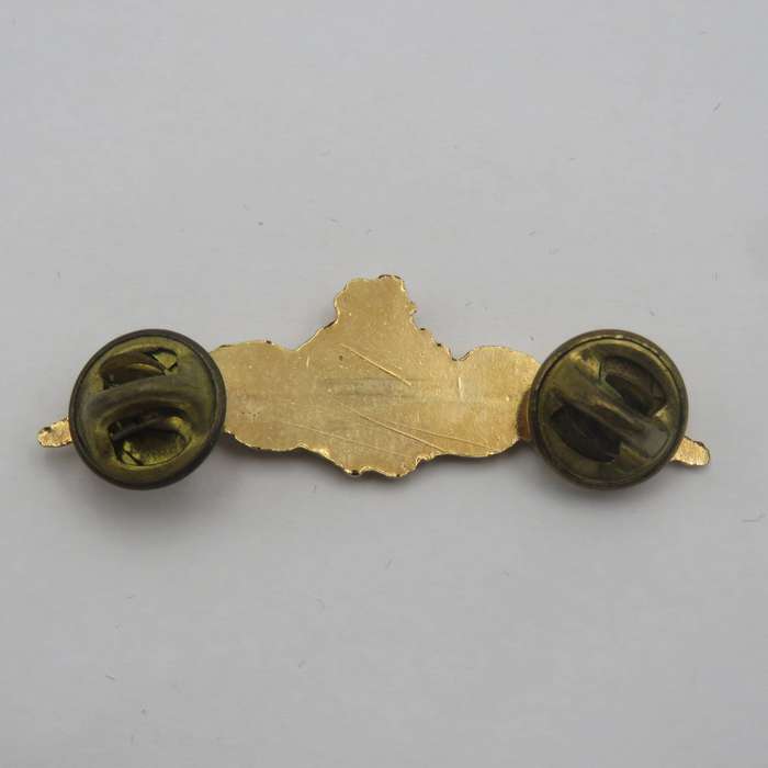 SA Air Force Pilot mess dress wing
