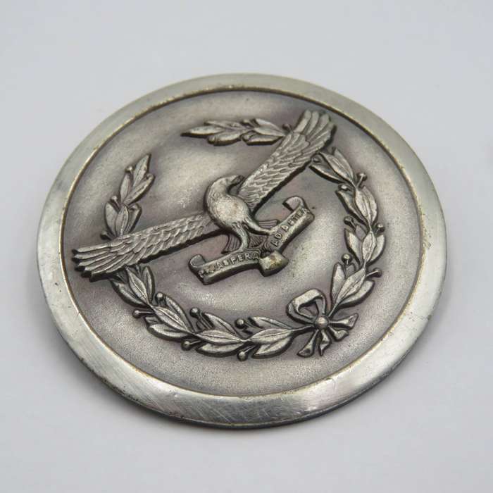 SA Air Force Ladies organisation silver colour badge
