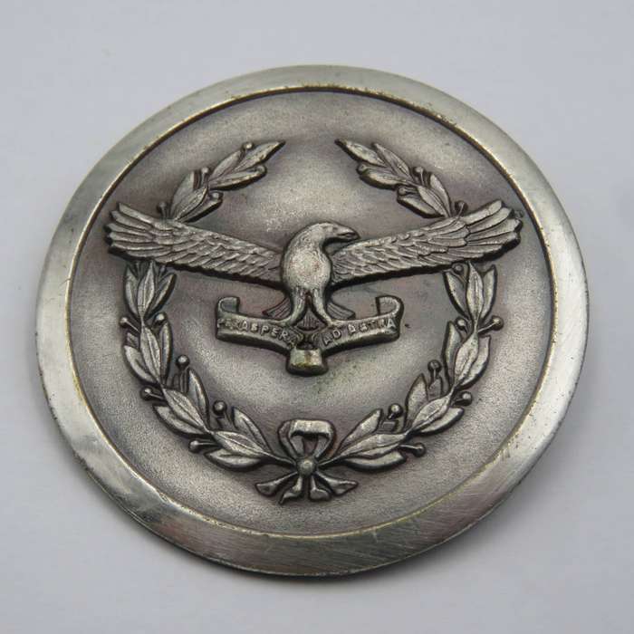 SA Air Force Ladies organisation silver colour badge