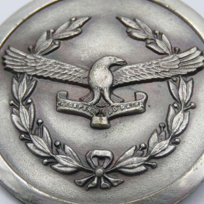 SA Air Force Ladies organisation silver colour badge