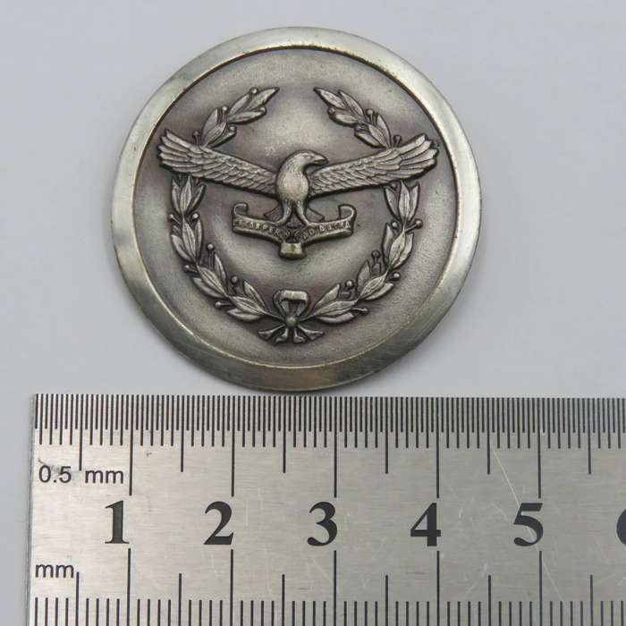 SA Air Force Ladies organisation silver colour badge