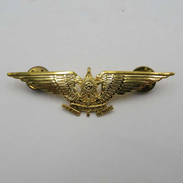 Pair of Brazilian Air Force Pilot wing badges - mess dress and full size