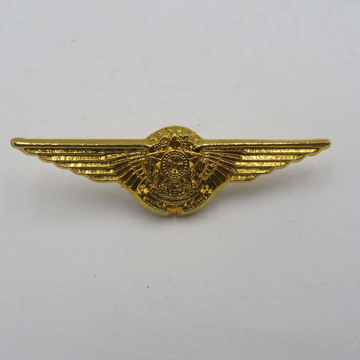 Pair of Brazilian Air Force Pilot wing badges - mess dress and full size