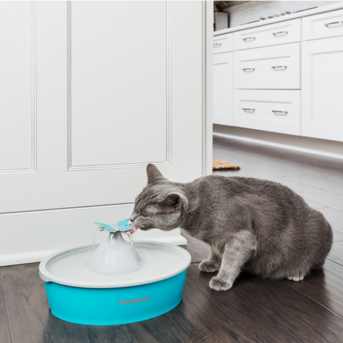 Butterfly Pet Fountain