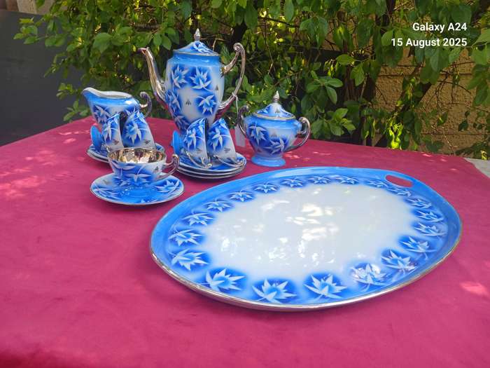 Czechoslovakian Maier hard porcelain coffee set