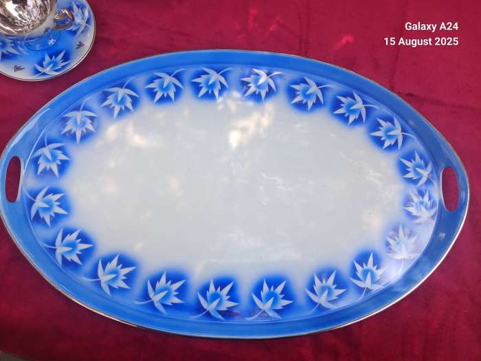 Czechoslovakian Maier hard porcelain coffee set