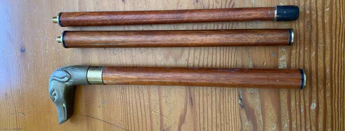 Walking Stick