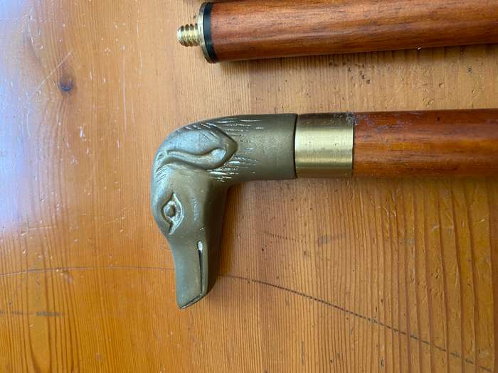 Walking Stick