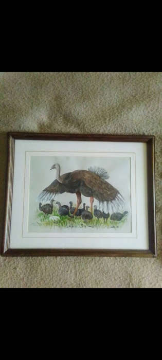 Beautiful acrylic wildlife painting, Ostrich family in smart wooden glass frame