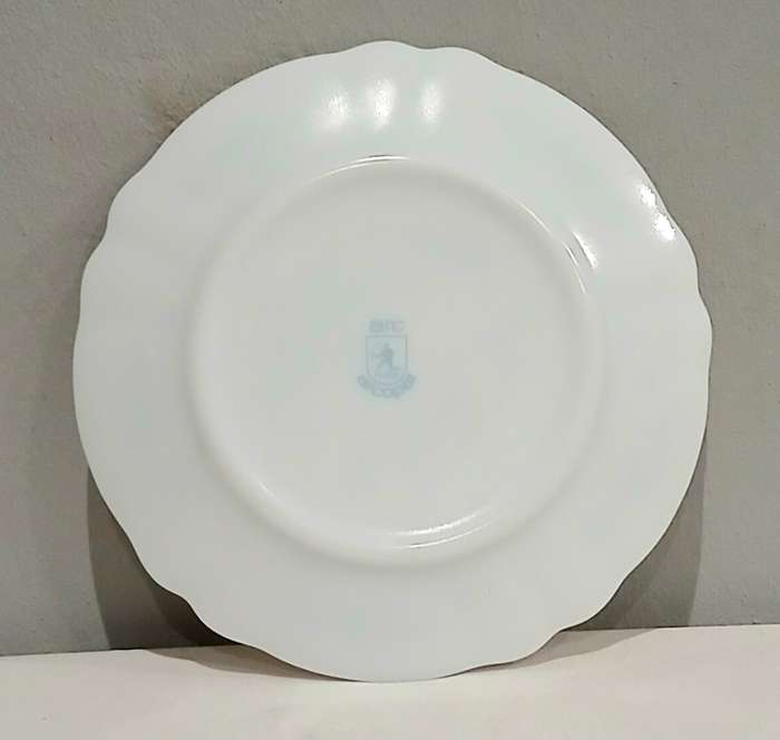 Vintage 1970s Arcopal France Opal Glass Plate | Arc Archer Logo | Rare Retro Pattern