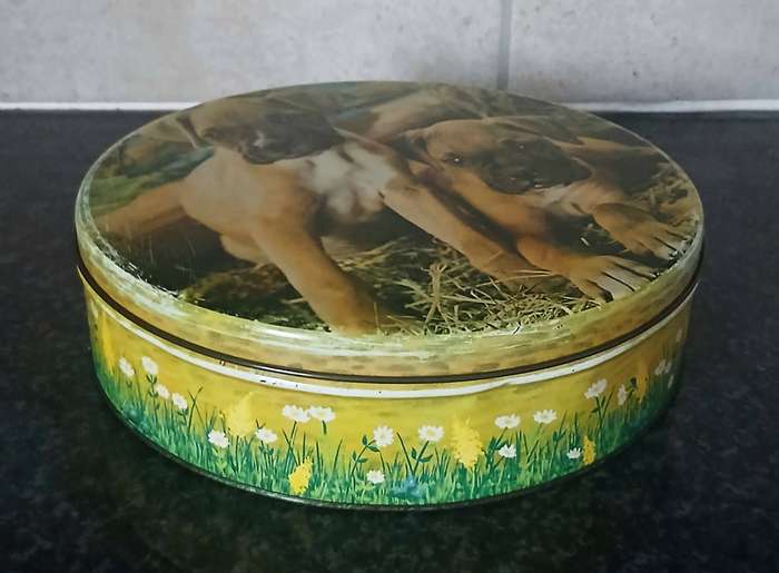 Vintage Mid-Century Tin Biscuit Tin | Boxer Puppies Design