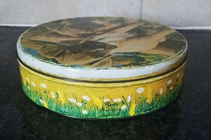 Vintage Mid-Century Tin Biscuit Tin | Boxer Puppies Design