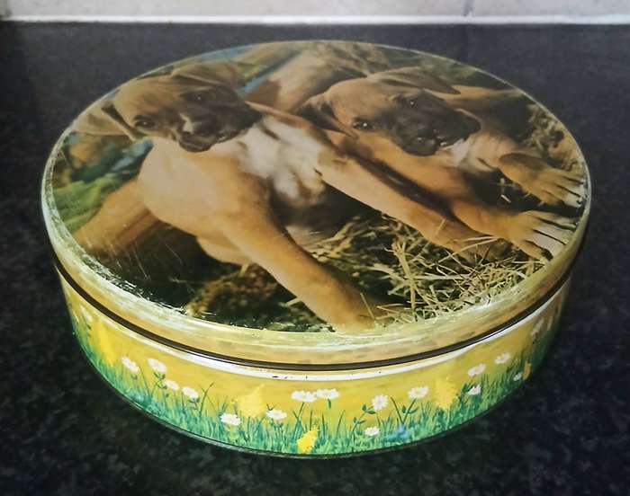 Vintage Mid-Century Tin Biscuit Tin | Boxer Puppies Design