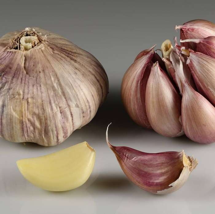 GARLIC CAPSULES (120)