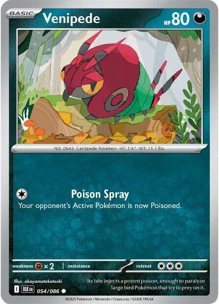 Pokemon Trading Card Game - Venipede - 054/086 / Common - Black Bolt (BLK)
