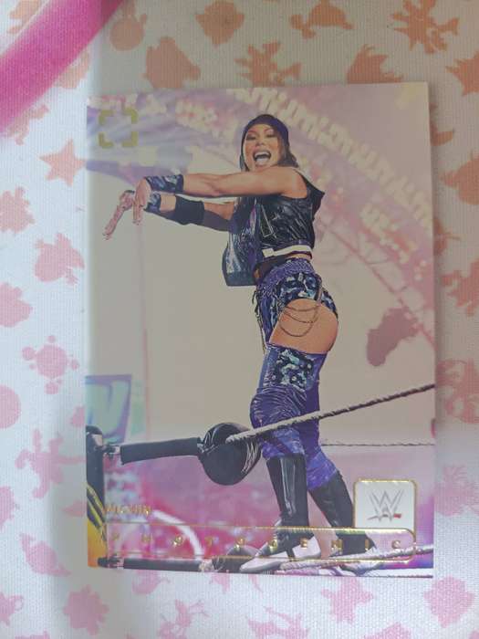 WWE Trading Cards - 2024 WWE Panini Photogenic Michin Base #106