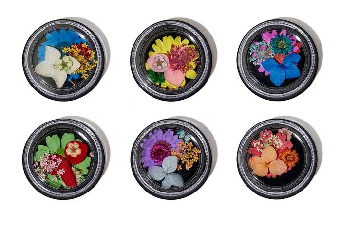 6pcs Dry Flower