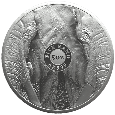 5 oz Silver Coin - Big Five III - Elephant - 2024