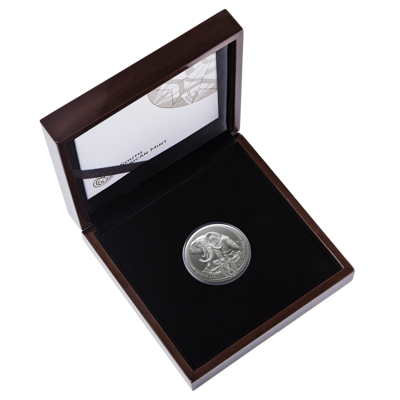 5 oz Silver Coin - Big Five III - Elephant - 2024