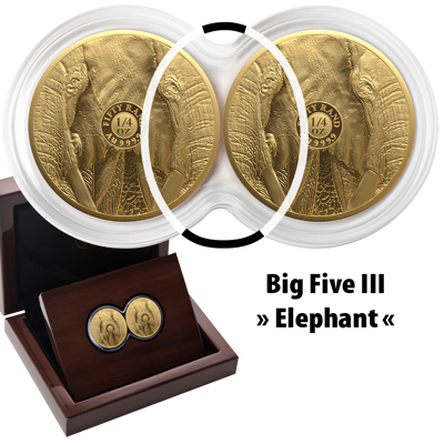 1/4 oz Gold Coin Set - Big Five III - Elephant - Double Capsule - 2024