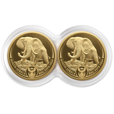 1/4 oz Gold Coin Set - Big Five III - Elephant - Double Capsule - 2024