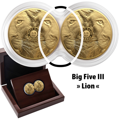 1/4 oz Gold Coin Set - Big Five III - Lion - Double Capsule - 2025