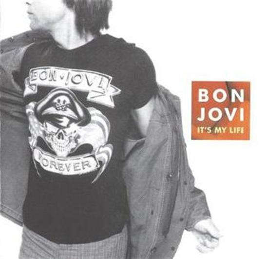 Bon Jovi  It's My Life CD