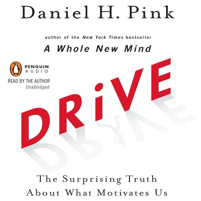 Drive: The Surprising Truth About What Motivates Us Audiobook  Unabridged (5 CDs)