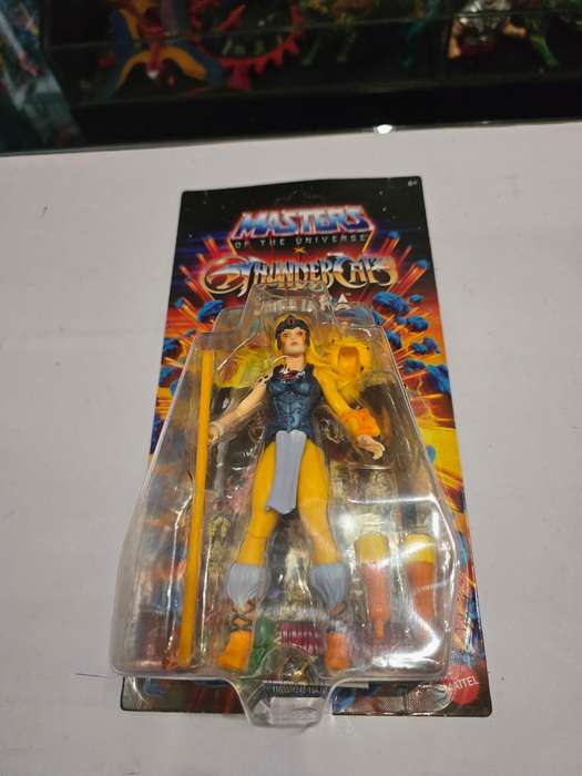 Masters Of The Universe (Motu) Origins X Thundercats Cheetara Figure Moc