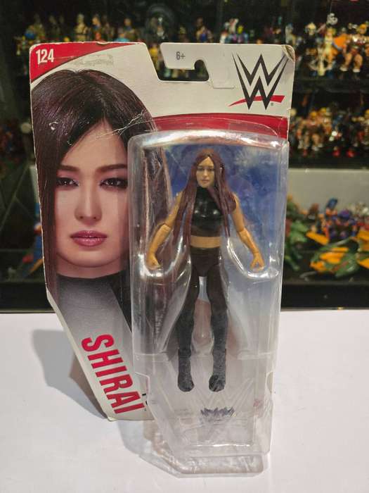 Moc WWE Shirai Figure