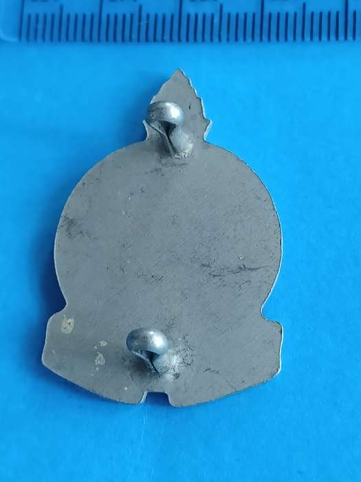 Voortrekker Hou Koers Beret Badge