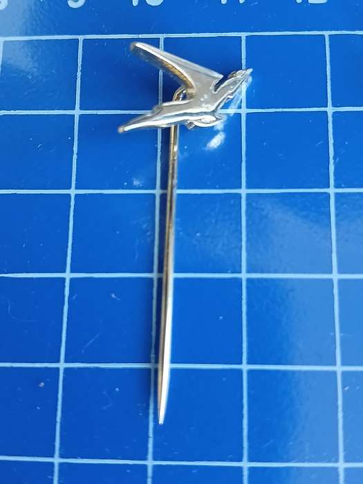 SA Airways Springbok Pin
