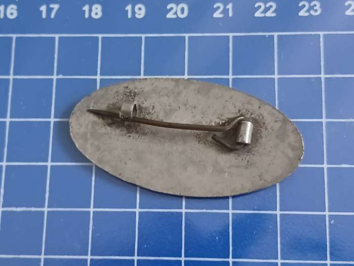 Ford Badge
