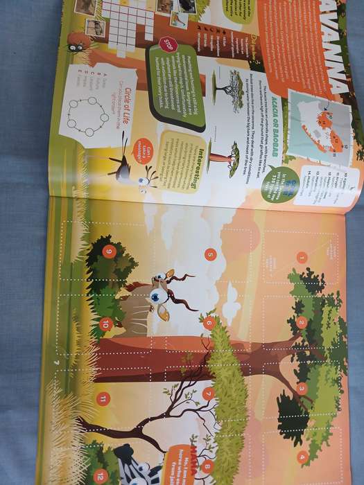 Book - South African Super Animals (Empty with no animal stickers)