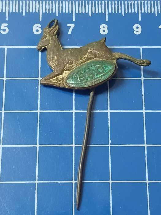 Rugby Pin / Badge Springboks 1960