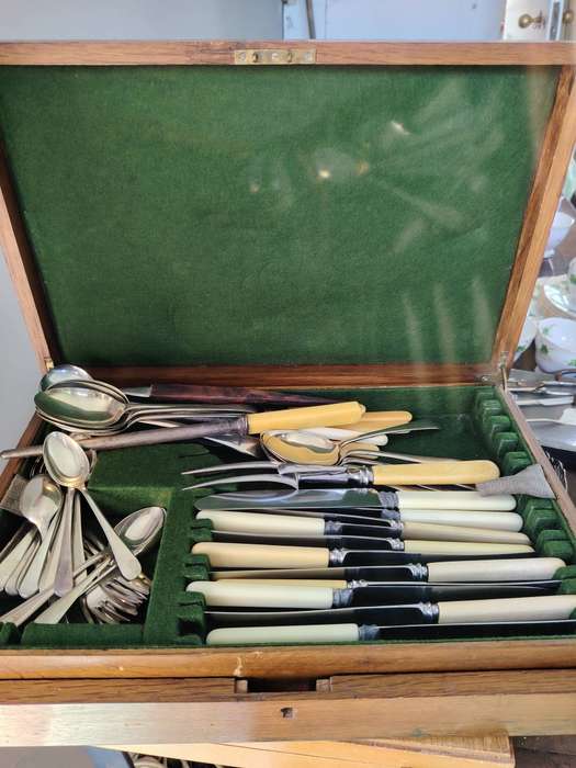 Mixture of vintage cutlery in case incomplete