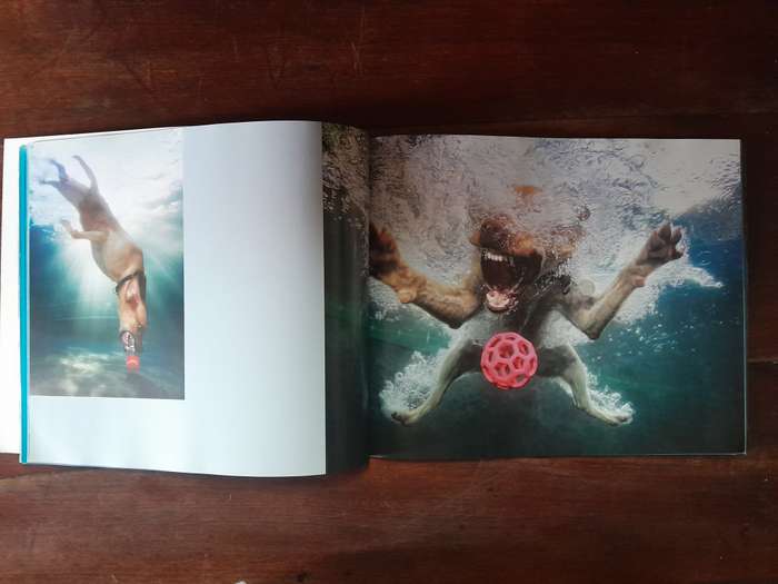 Underwater Dogs