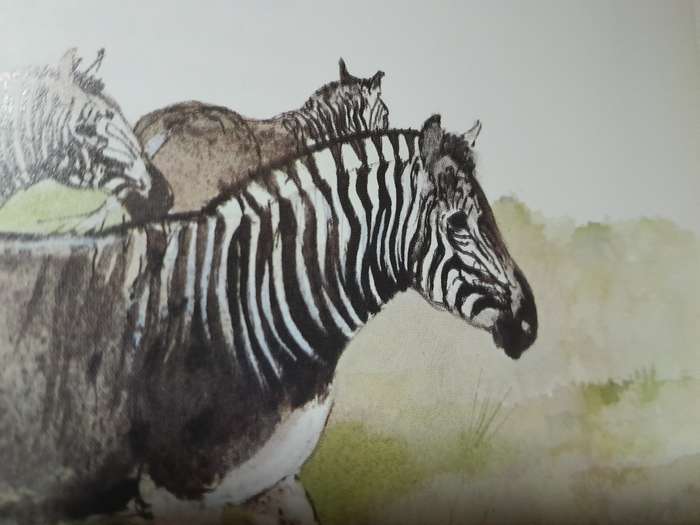 The encyclopedia of Vanished Species