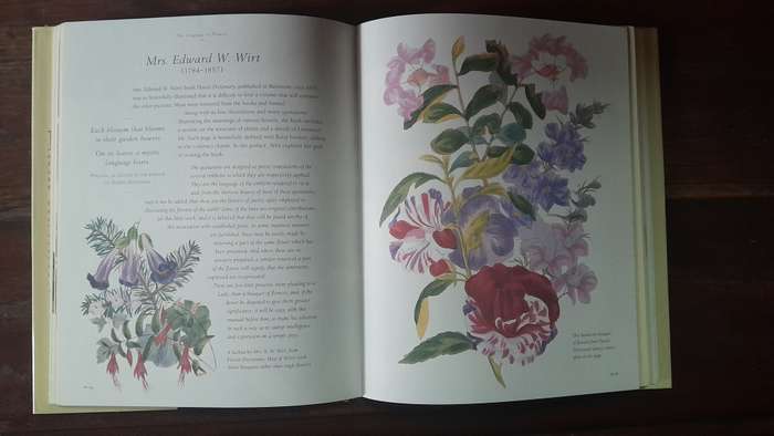 The art of flowers - botananical illustrations