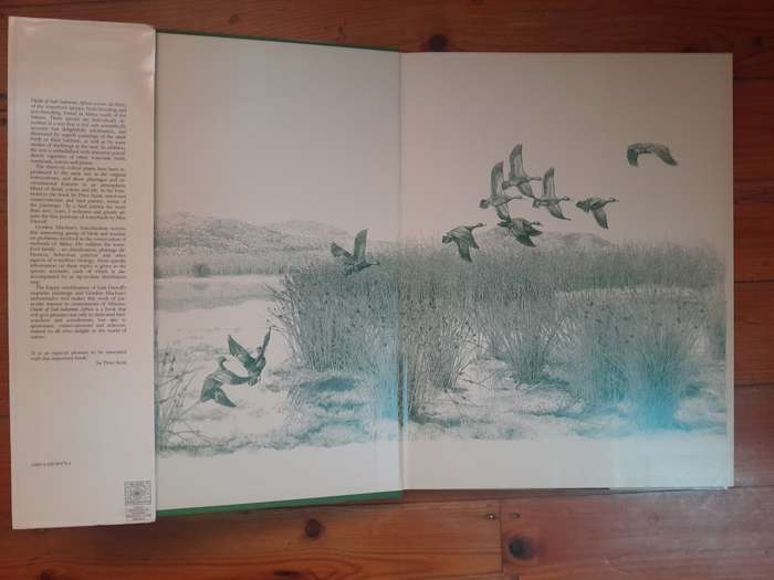 Ducks of Sub-Saharan Africa