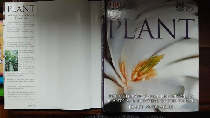 Plant - Janet Marinelli