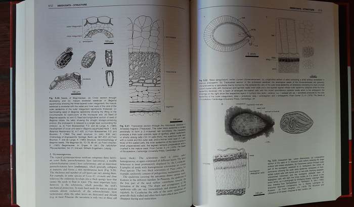 The Encyclopedia of Seeds