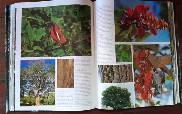 The Ultimate Book of Trees and Shrubs